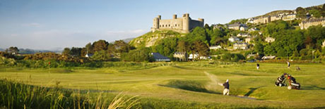 Harlech & Royal St Davids Gold club